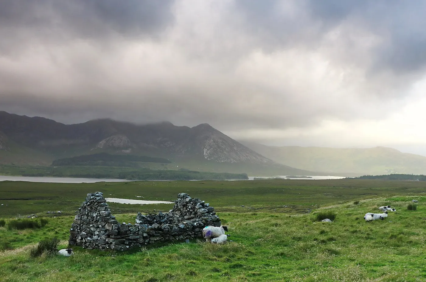 A stone cottage in the Inagh Valley beneath the Connemara mountains